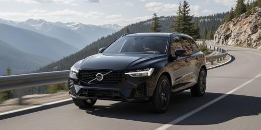 Projekt bez nazwy (16)